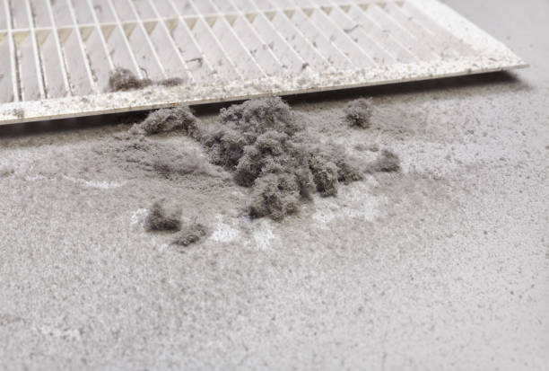 Best Air Duct Cleaning Near Me  in Ossian, IN