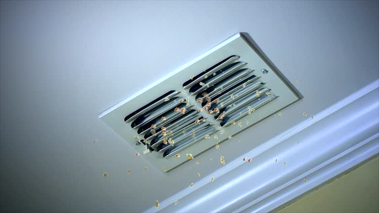 Best Air Duct Cleaning Near Me  in Ossian, IN
